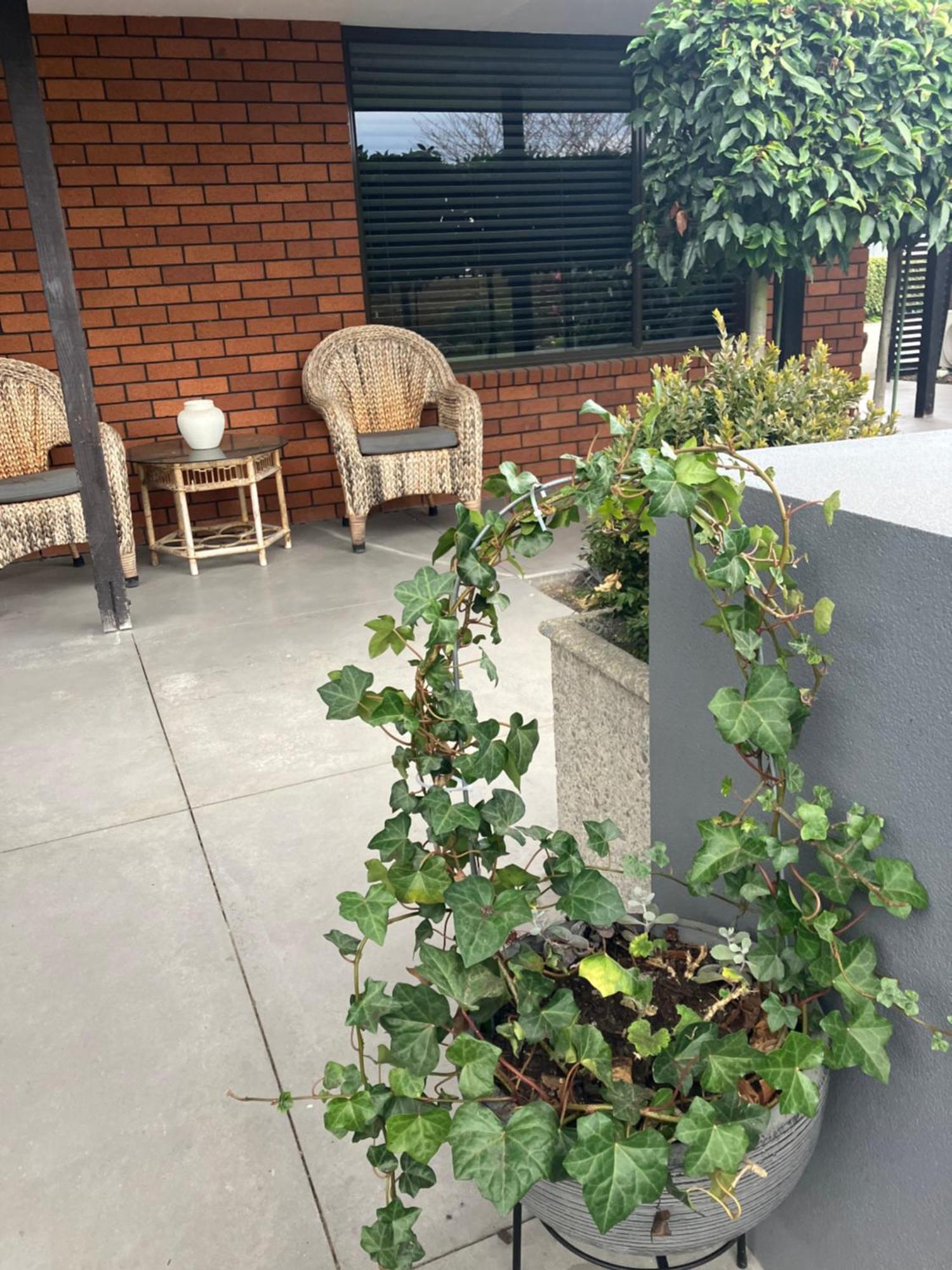 哈伍德梅普尔斯住宿加早餐酒店 基督城 外观 照片